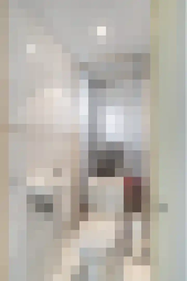 Ambonlaan 72 Vlaardingen thumbnail 8