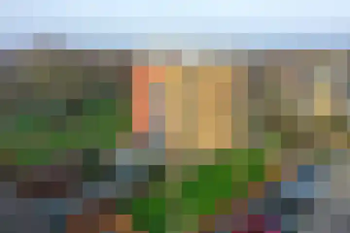 Ambonlaan 76 Huizen thumbnail 23