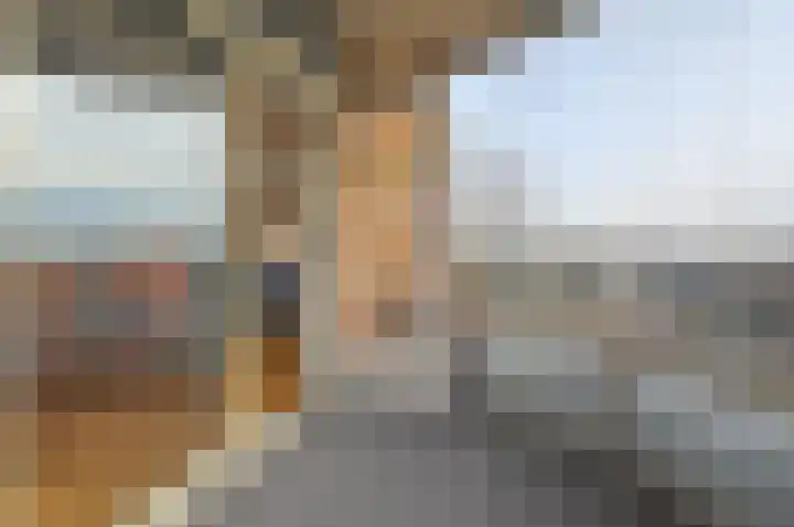 Ambonlaan 76 Huizen thumbnail 24