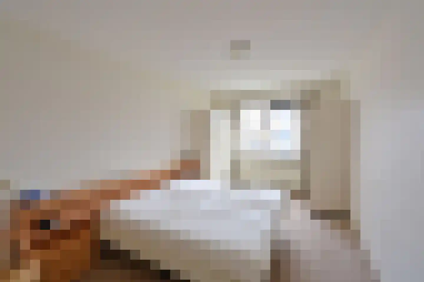 Ambonlaan 8 Huizen thumbnail 10