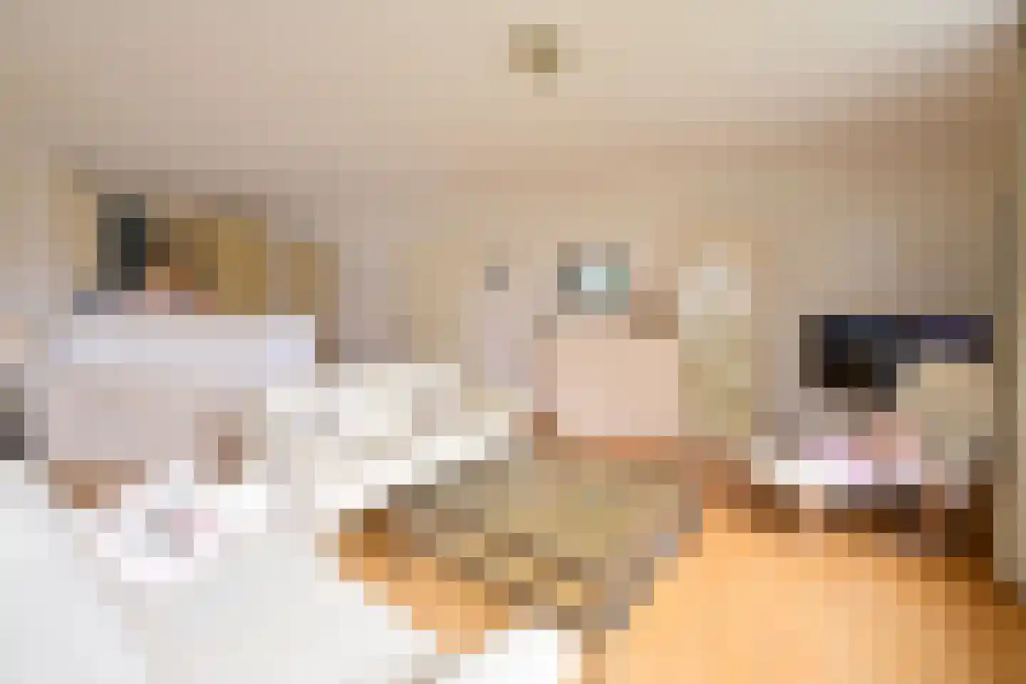 Ambonlaan 8 Huizen thumbnail 6
