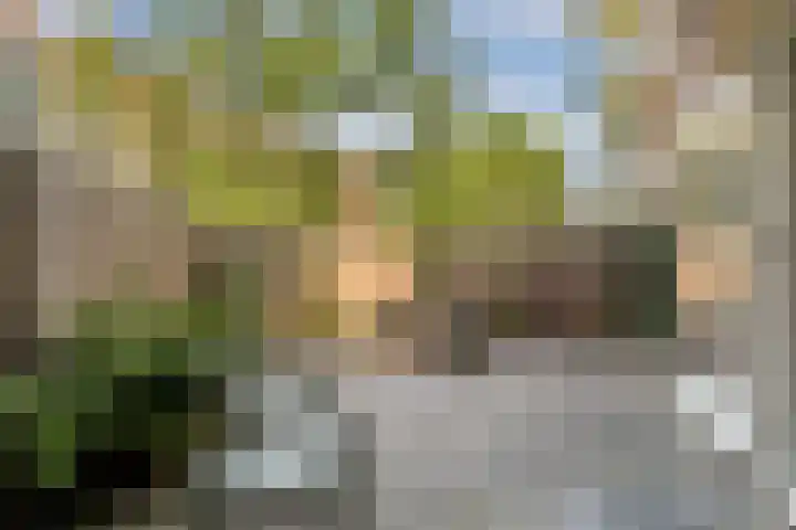 Ambonplein 40 Amsterdam thumbnail 14