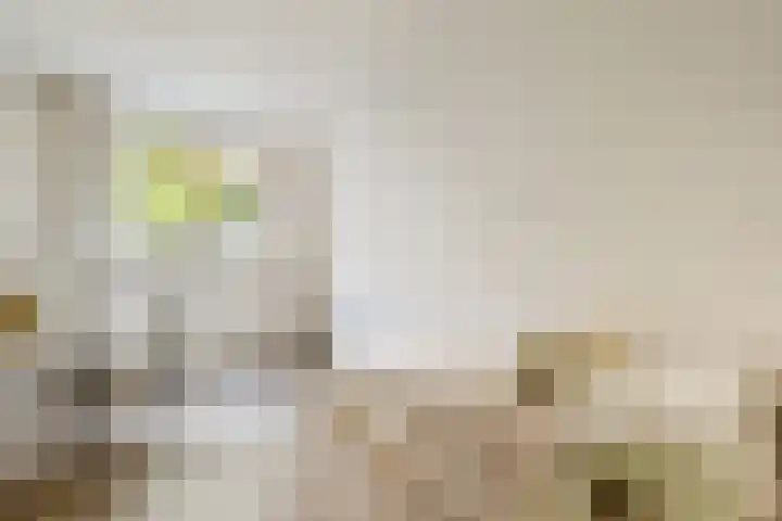 Ambonplein 40 Amsterdam thumbnail 16