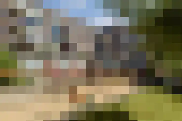 Ambonplein 40 Amsterdam thumbnail 20