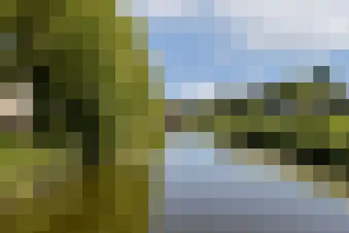 Ambonplein 40 Amsterdam thumbnail 26