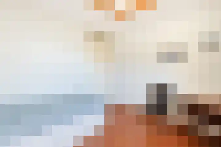 Ambonplein 57 Eindhoven thumbnail 41