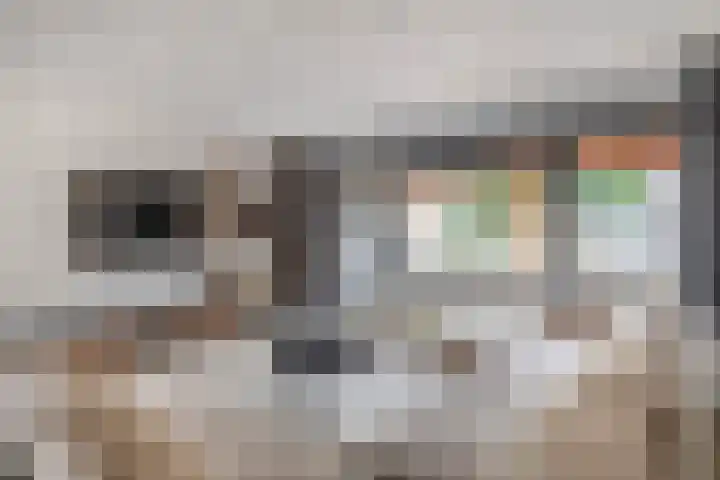 Ambonplein 68 Eindhoven thumbnail 20