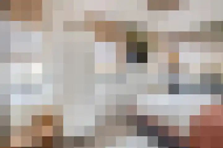 Ambonplein 68 Eindhoven thumbnail 22