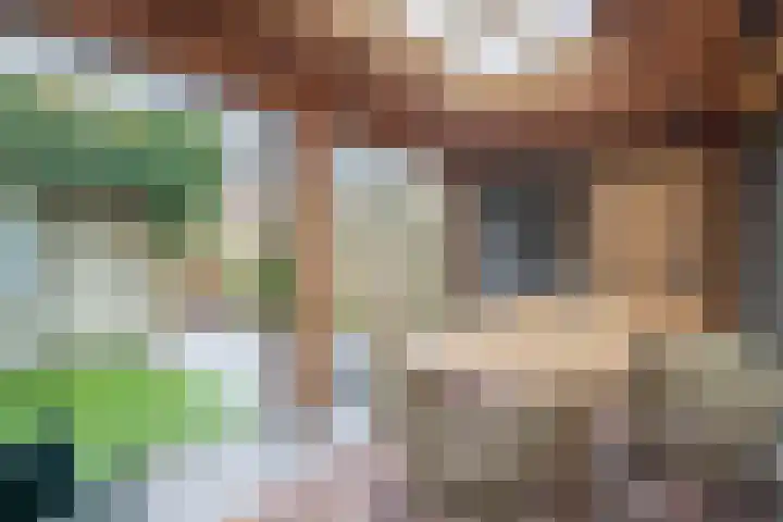Ambonplein 68 Eindhoven thumbnail 32
