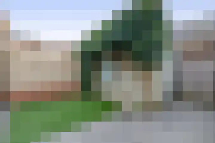 Ambonplein 68 Eindhoven thumbnail 36
