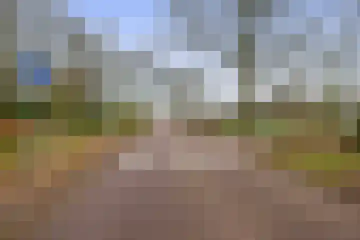 Ambonplein 68 Eindhoven thumbnail 41