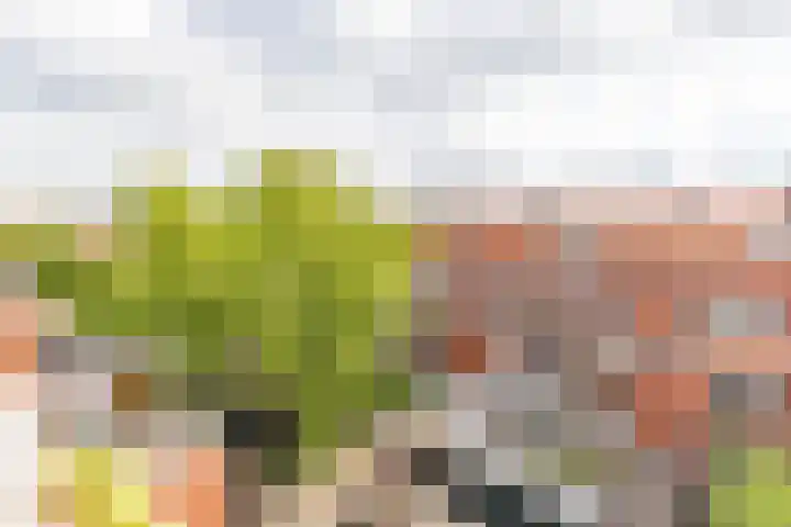 Ambonstraat 1 c Groningen thumbnail 37