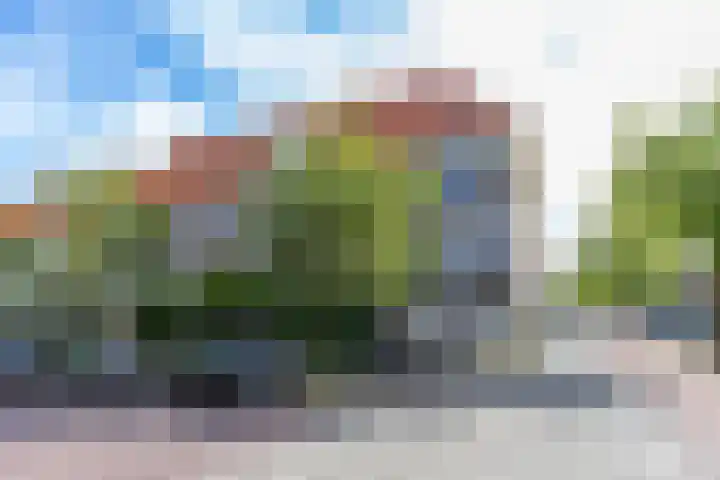 Ambonstraat 1 c Groningen thumbnail 5