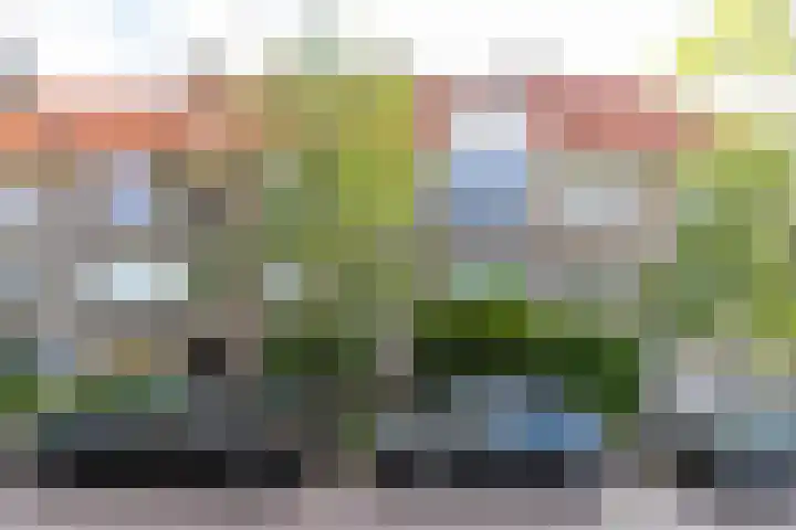 Ambonstraat 1 c Groningen thumbnail 6