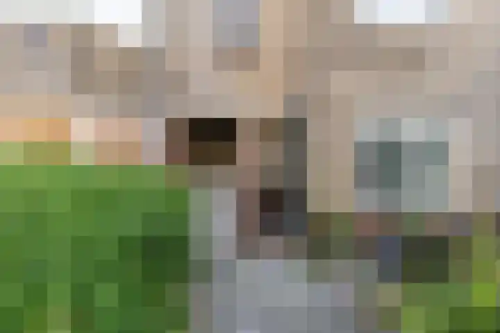 Ambonstraat 1 c Groningen thumbnail 7