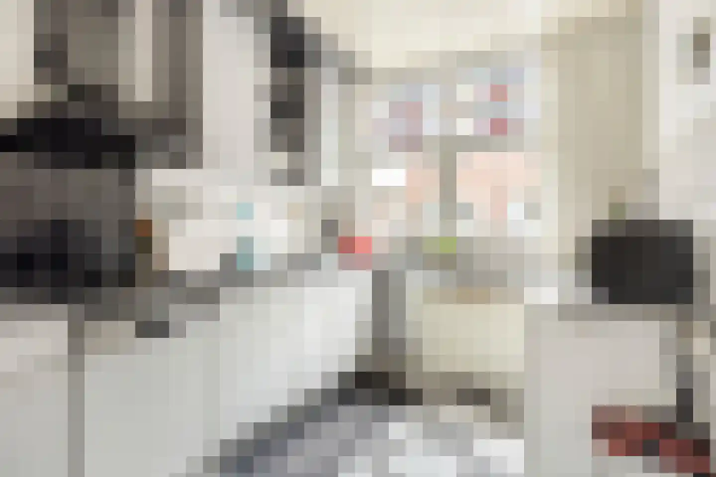 Ambonstraat 1 Tilburg thumbnail 13