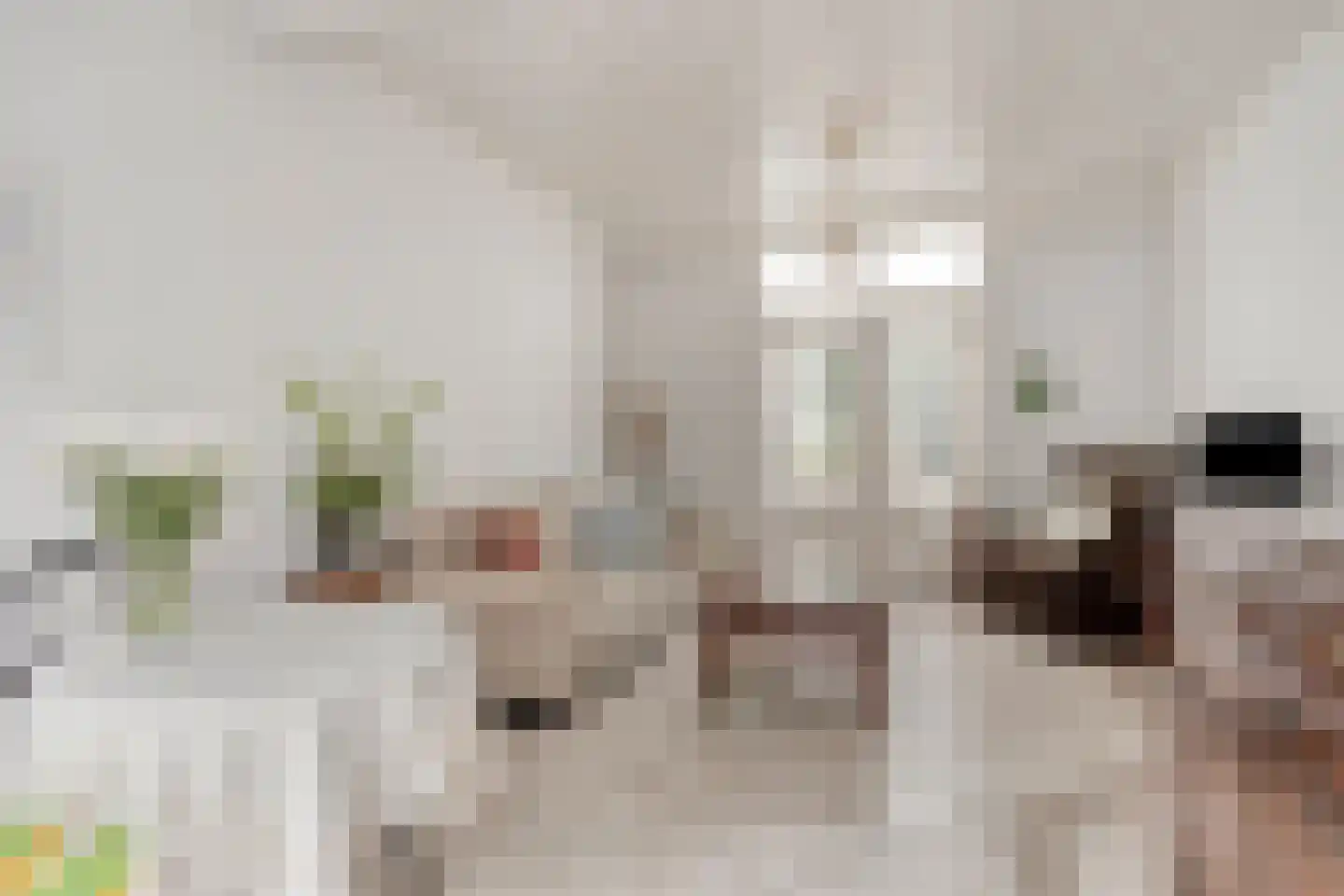 Ambonstraat 1 Tilburg thumbnail 5