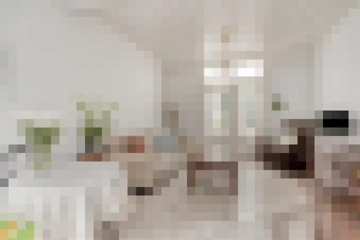 Ambonstraat 1 Tilburg thumbnail 6