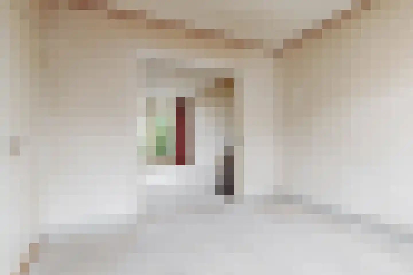 Ambonstraat 11 B Leiden thumbnail 4