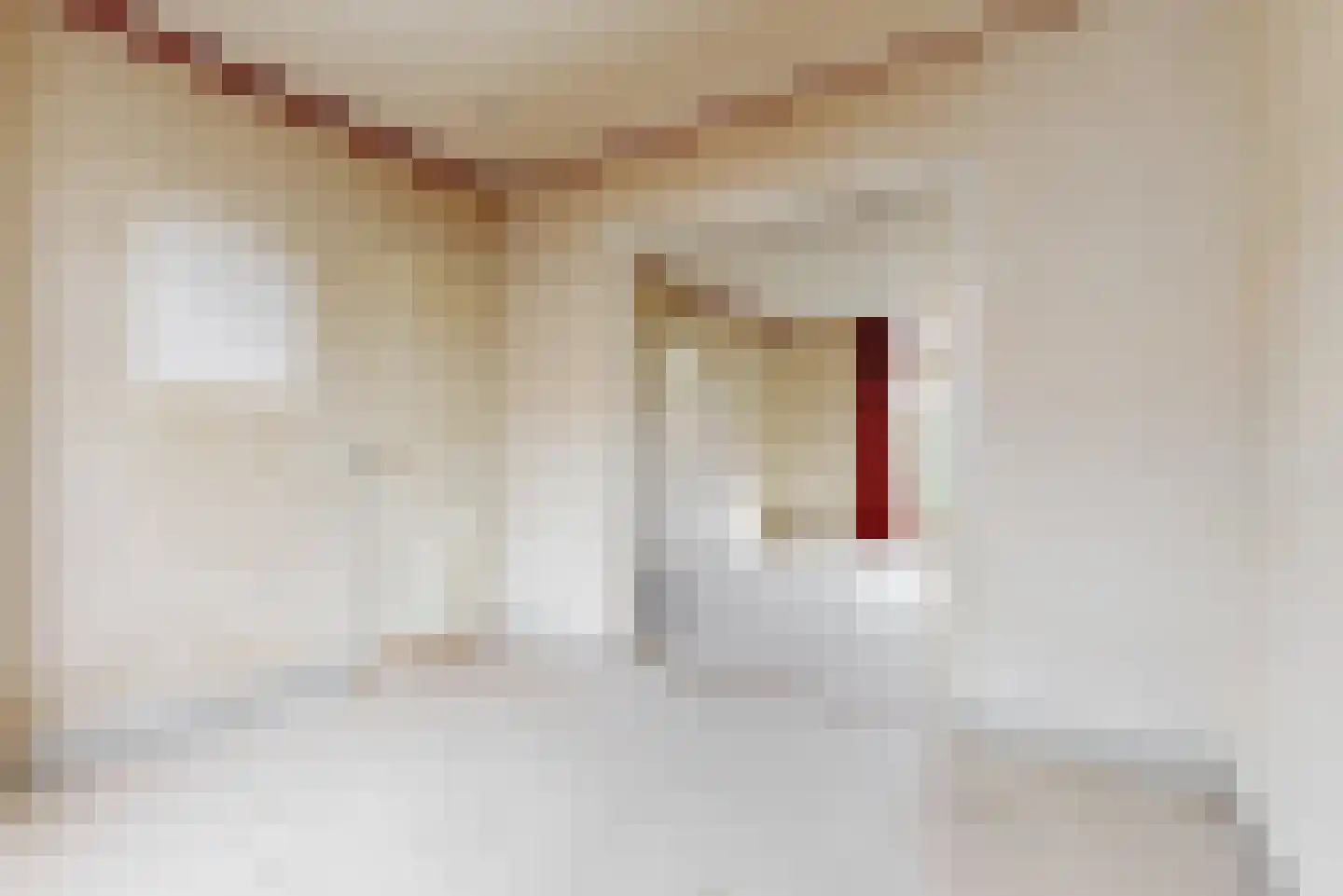 Ambonstraat 11 B Leiden thumbnail 8