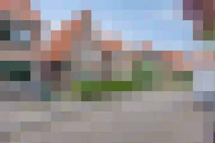 Ambonstraat 12 Meppel thumbnail 33