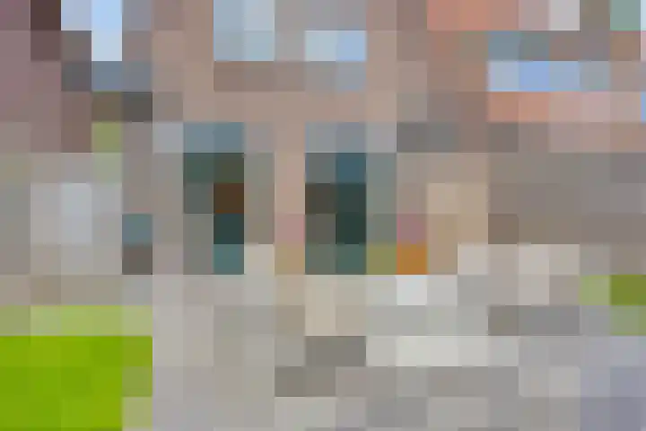 Ambonstraat 12 Meppel thumbnail 4