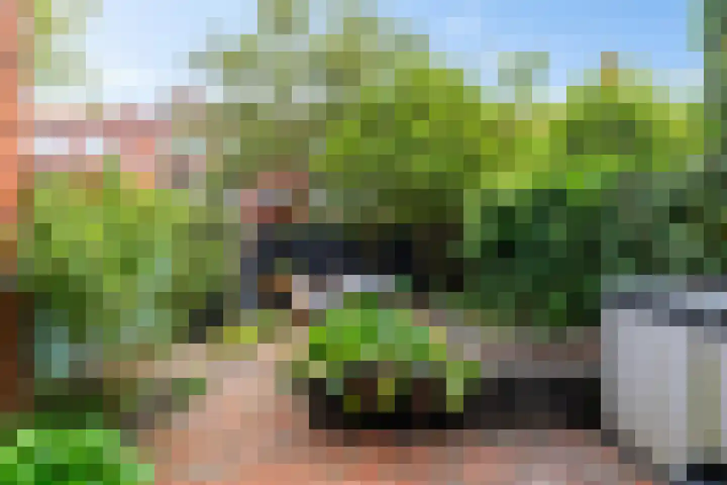 Ambonstraat 15 Groningen thumbnail 23