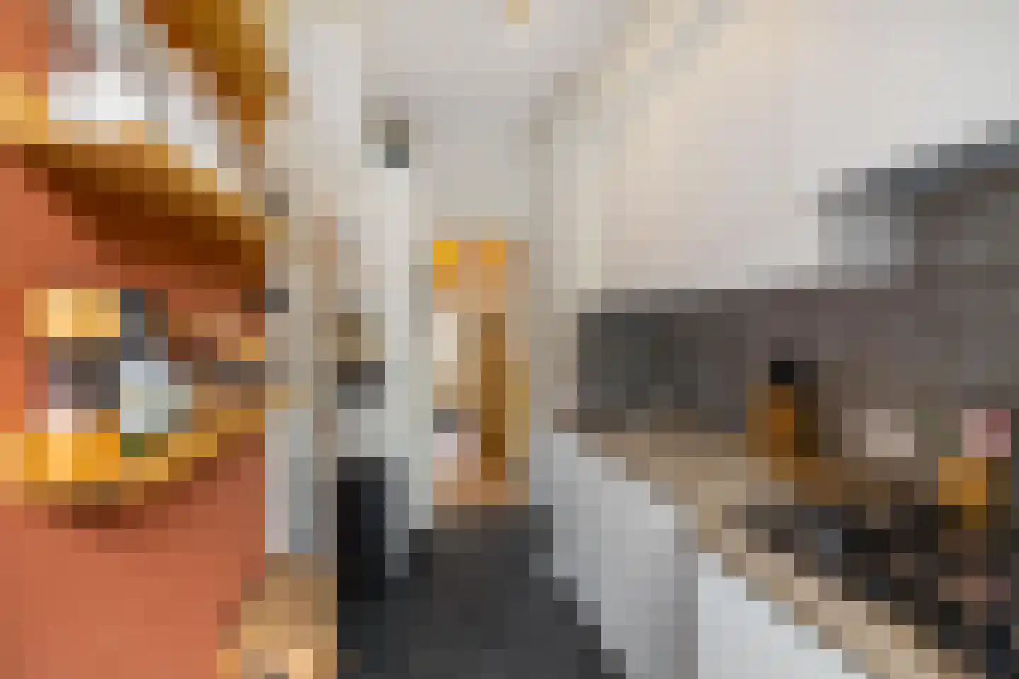 Ambonstraat 15 Groningen thumbnail 30