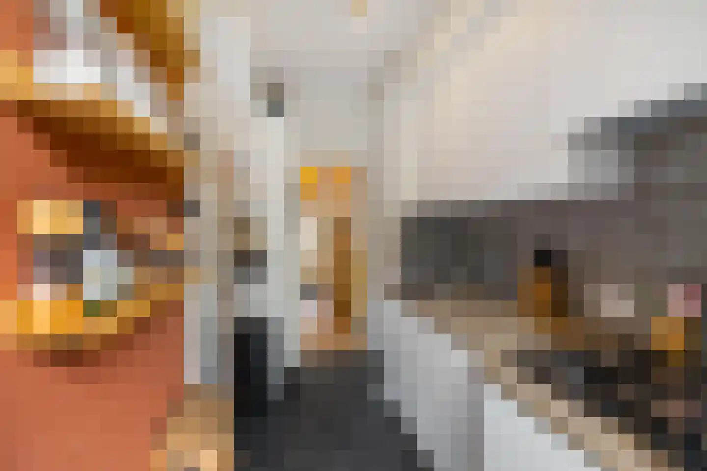 Ambonstraat 15 Groningen thumbnail 31