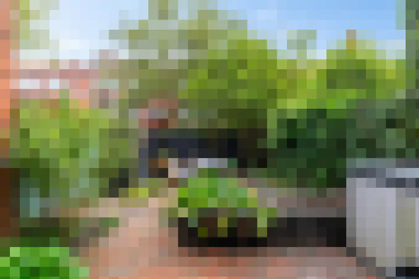 Ambonstraat 15 Groningen thumbnail 6