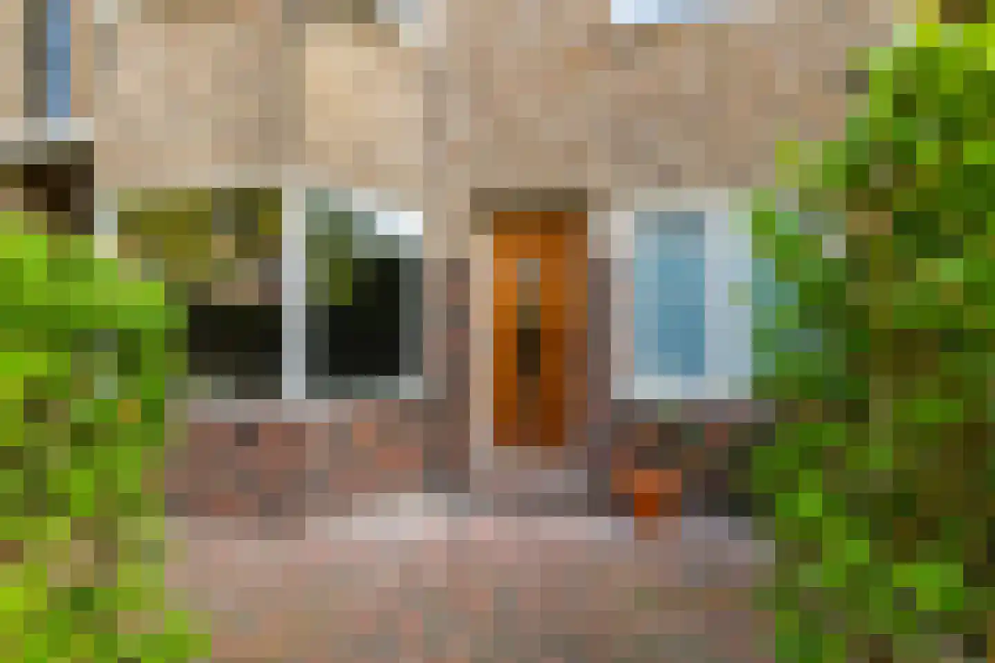 Ambonstraat 15 Groningen thumbnail 9