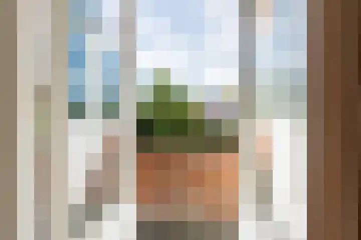 Ambonstraat 16 a Groningen thumbnail 23