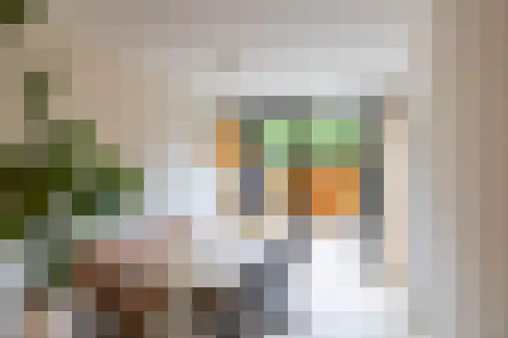 Ambonstraat 16 Groningen thumbnail 13