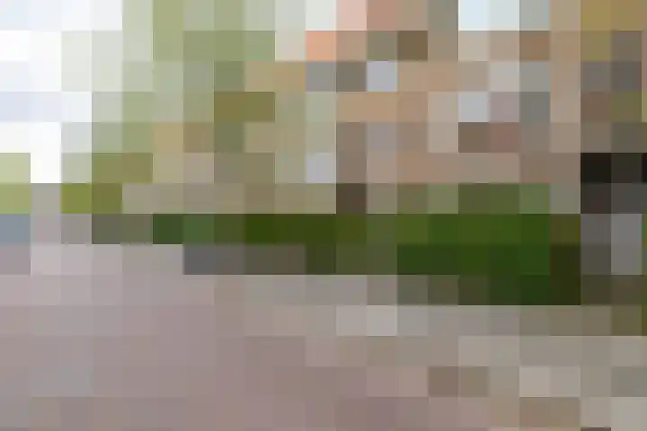 Ambonstraat 16 Groningen thumbnail 34