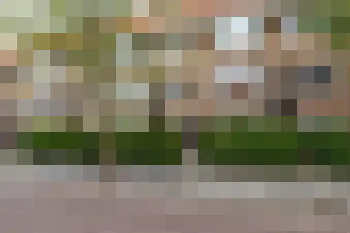 Ambonstraat 16 Groningen thumbnail 4