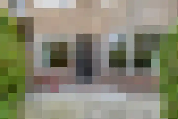 Ambonstraat 16 Groningen thumbnail 5