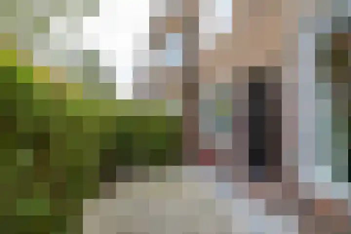 Ambonstraat 16 Groningen thumbnail 6