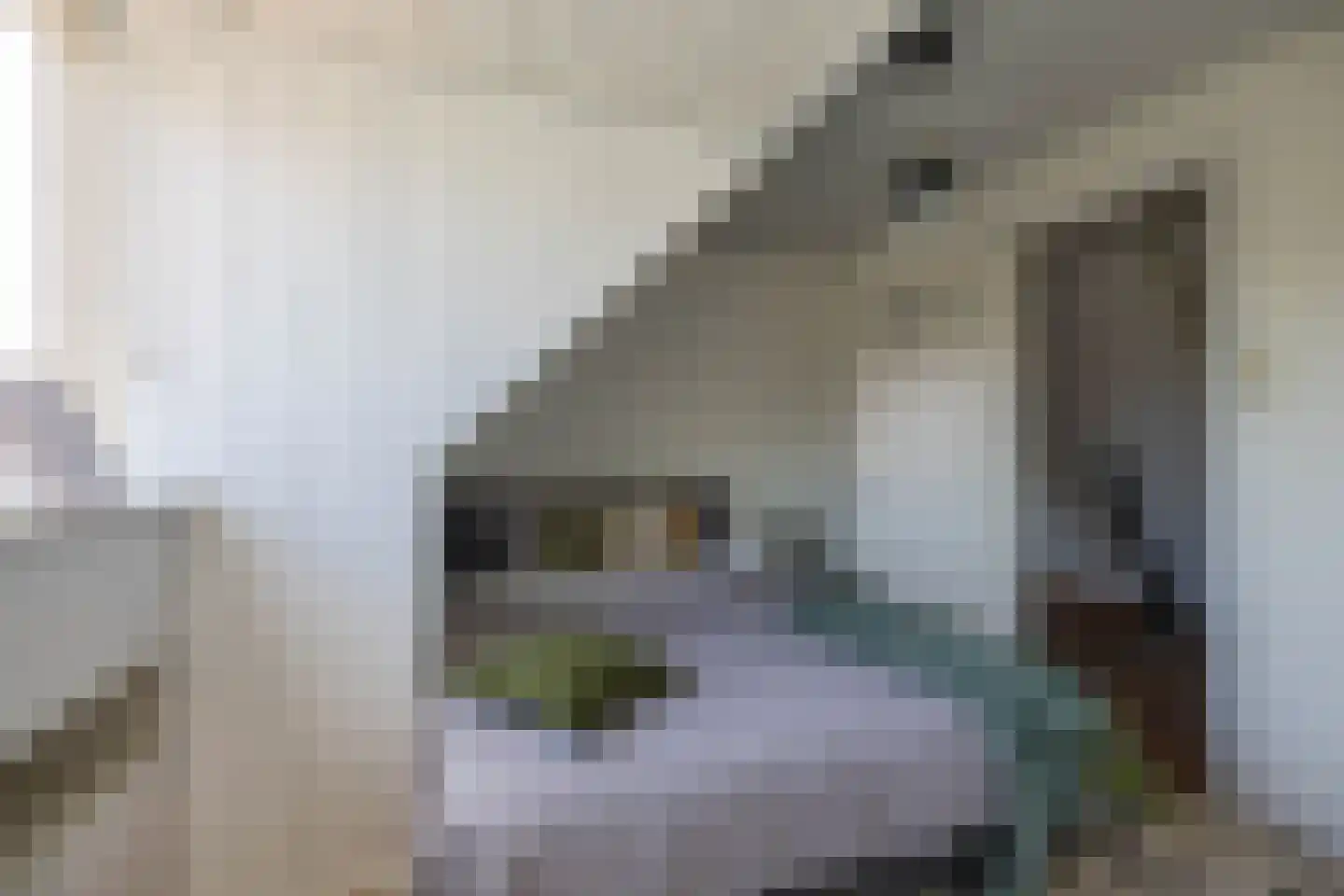 Ambonstraat 17 b Groningen thumbnail 33