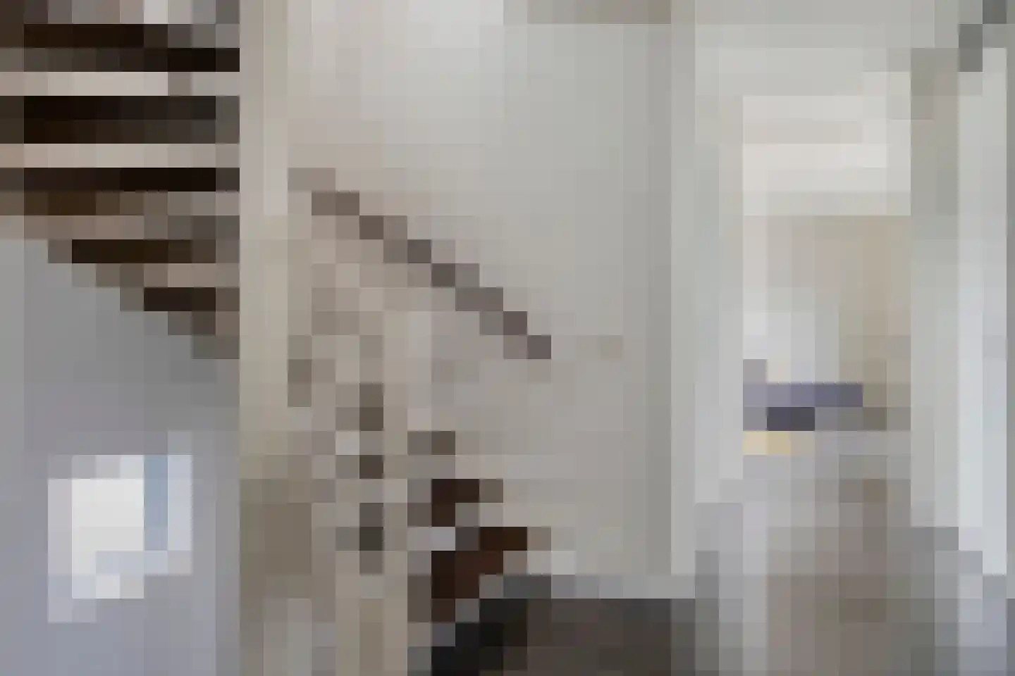 Ambonstraat 2 Zwolle thumbnail 16