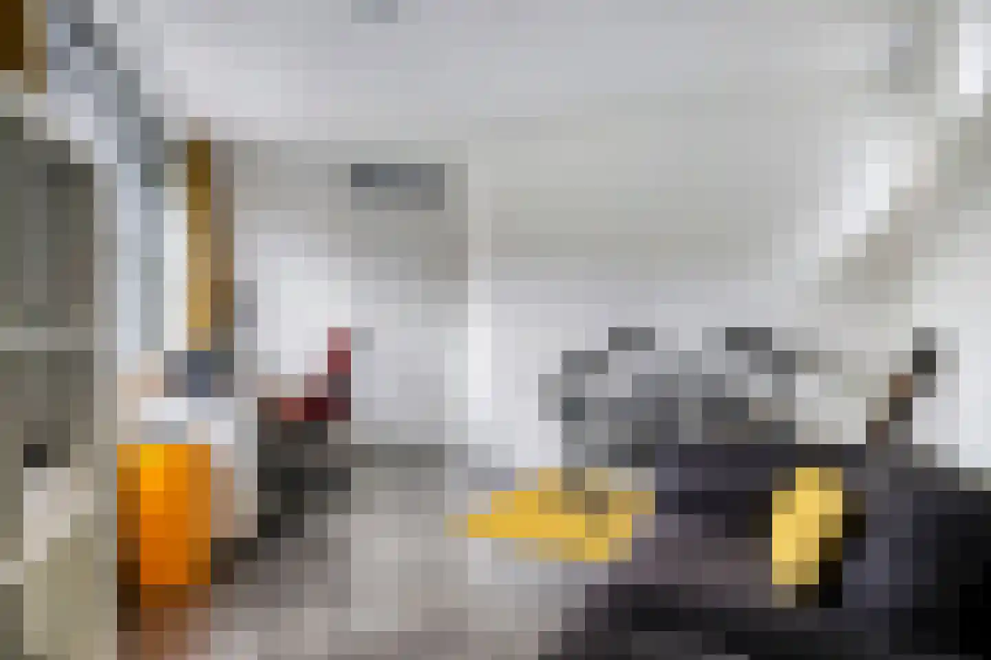 Ambonstraat 2 Zwolle thumbnail 21