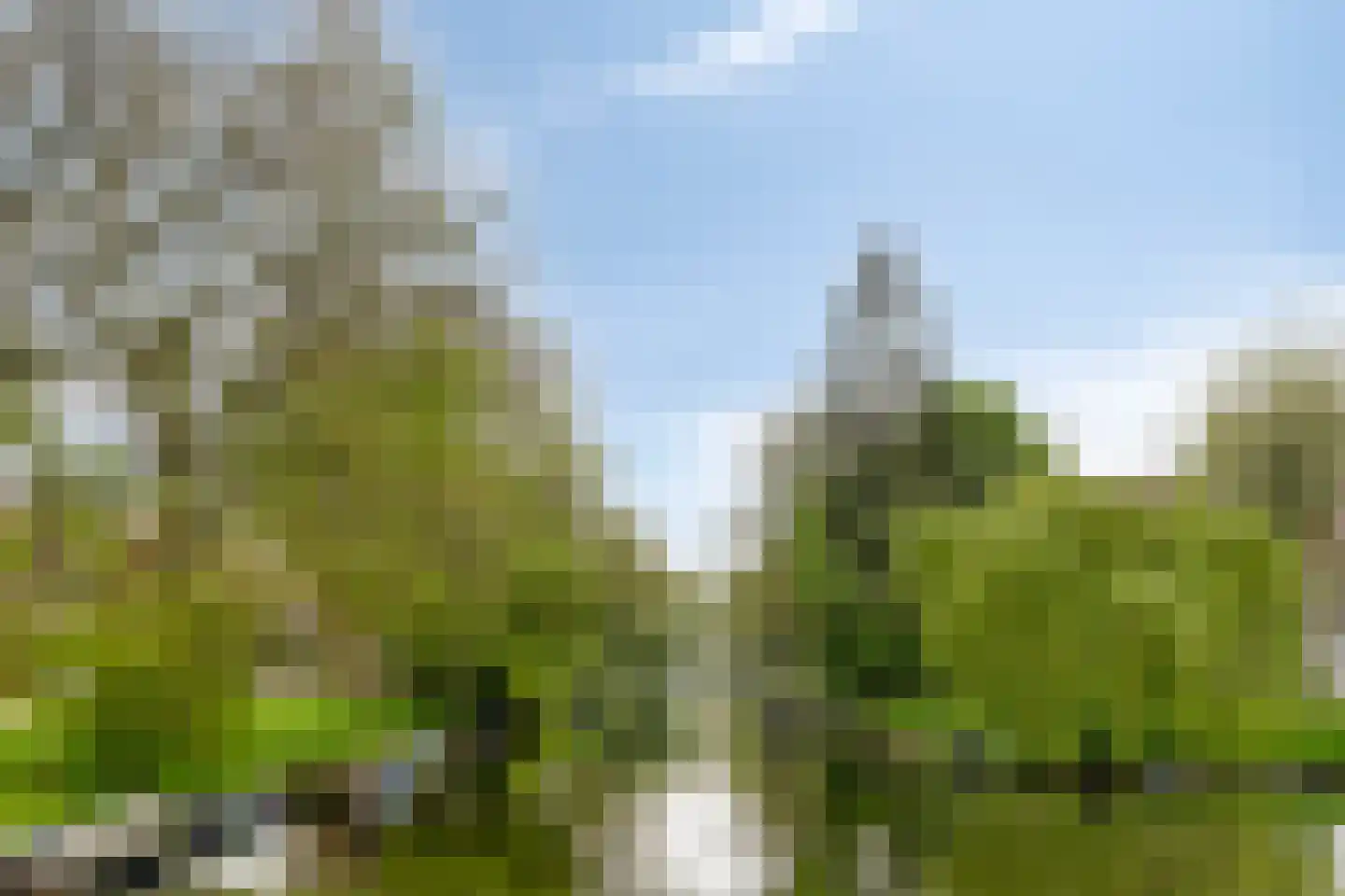Ambonstraat 2 Zwolle thumbnail 38