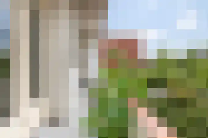 Ambonstraat 22 a Groningen thumbnail 23