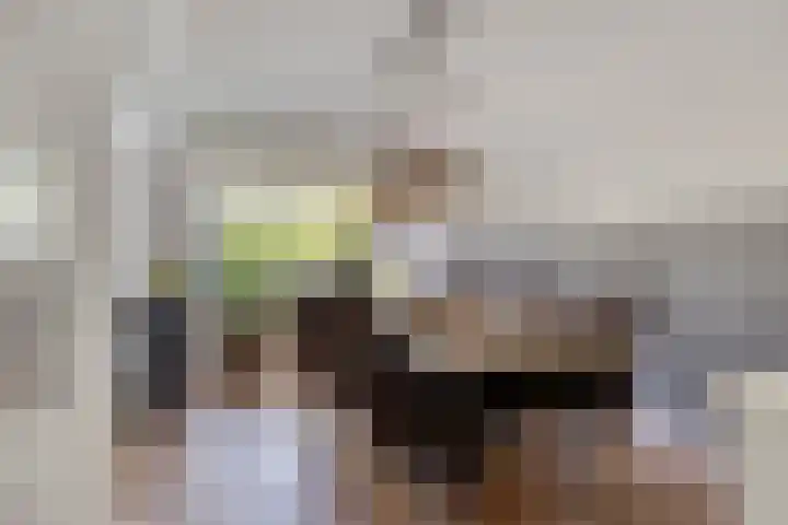 Ambonstraat 22 Alphen aan den Rijn thumbnail 10