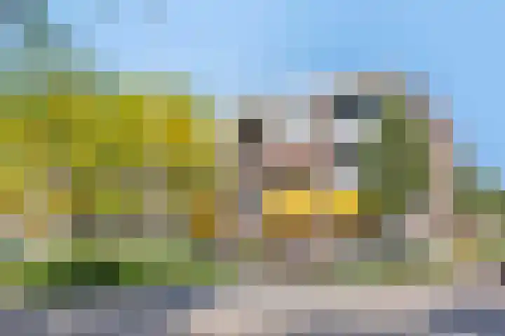 Ambonstraat 22 Alphen aan den Rijn thumbnail 37