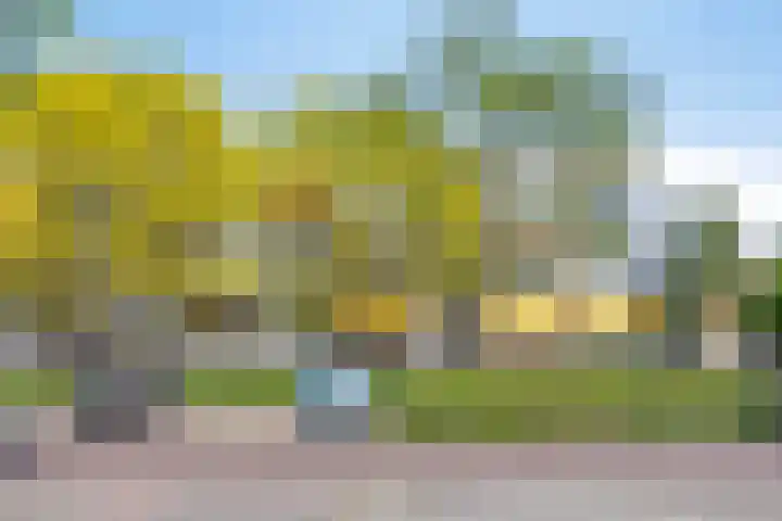 Ambonstraat 22 Alphen aan den Rijn thumbnail 5