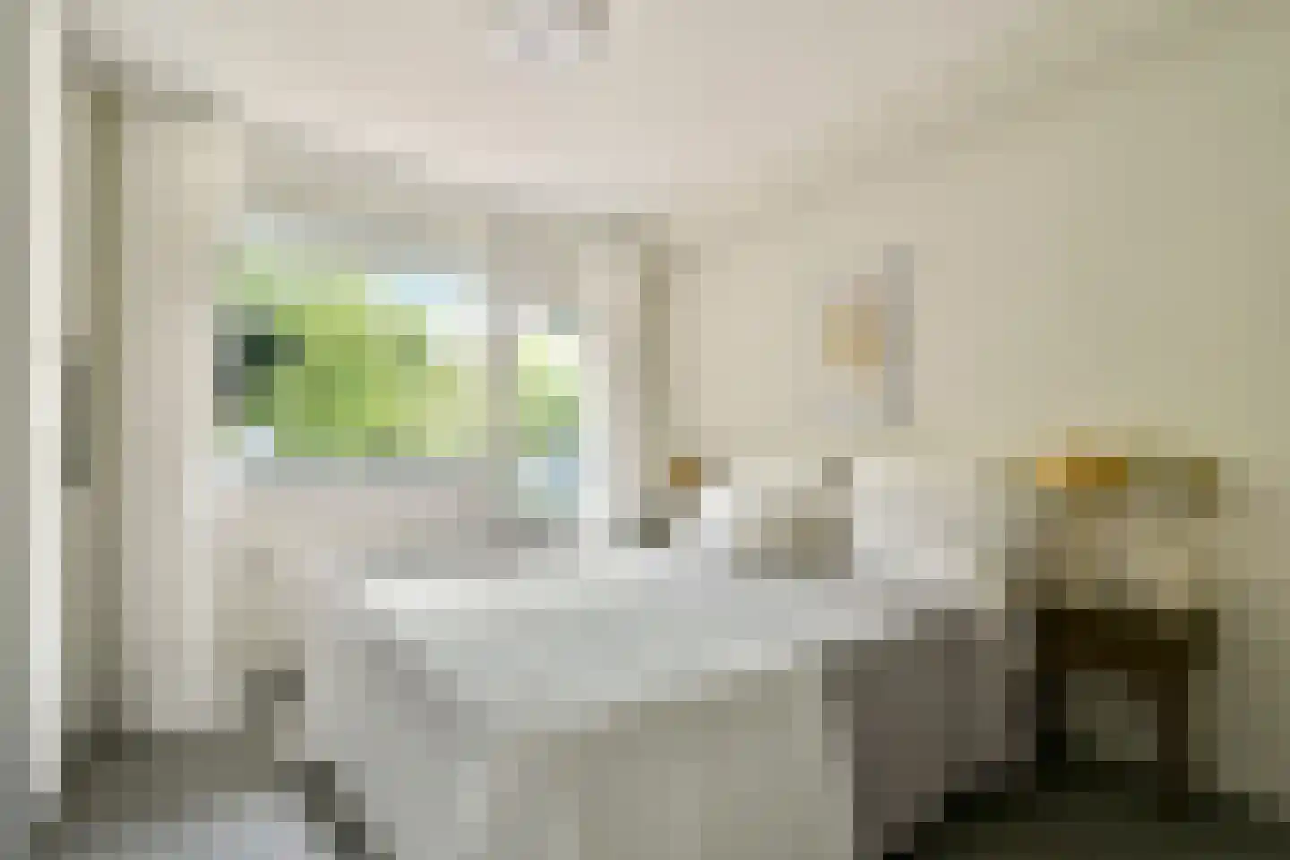 Ambonstraat 24 Amsterdam thumbnail 12