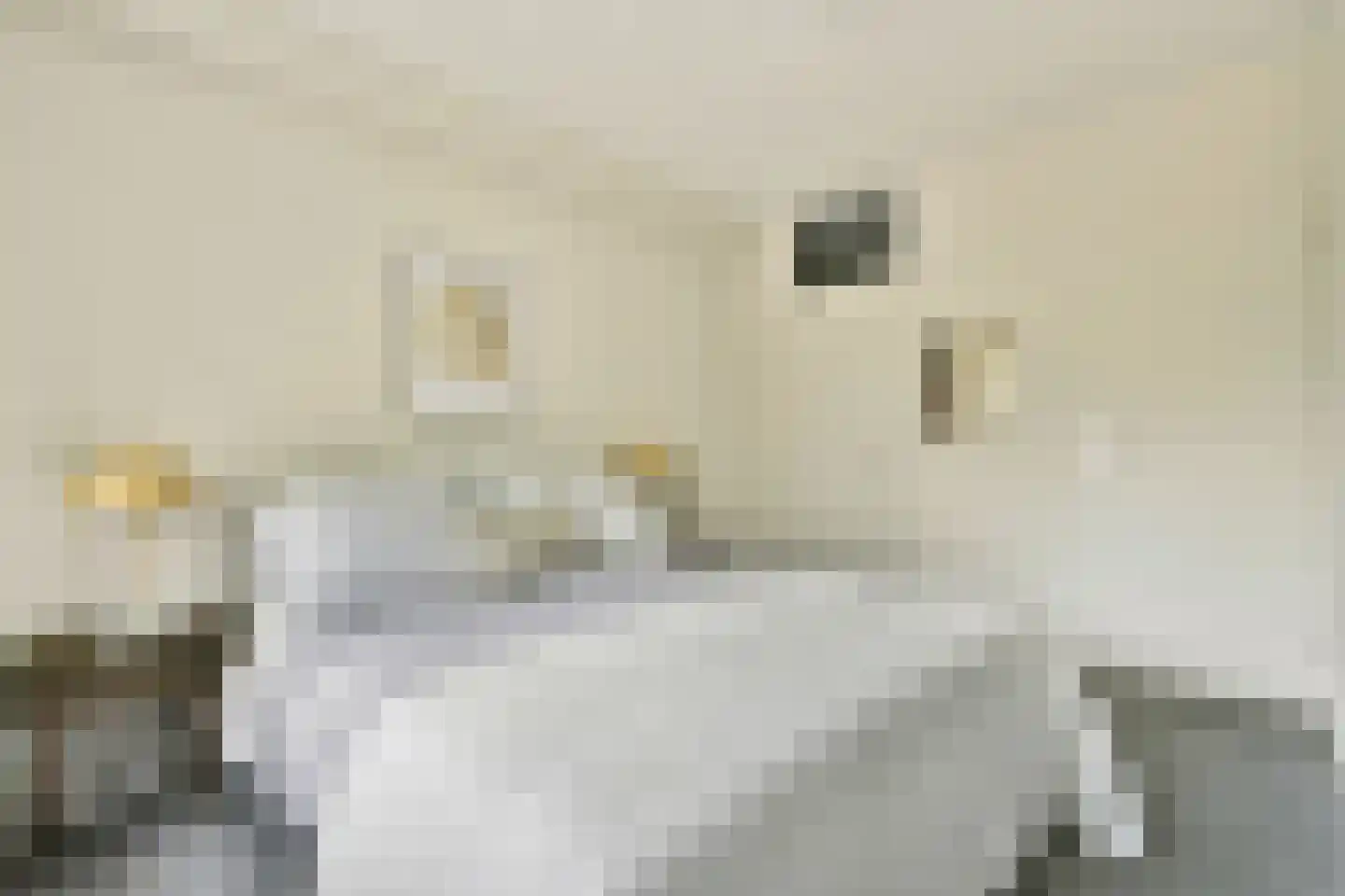 Ambonstraat 24 Amsterdam thumbnail 15