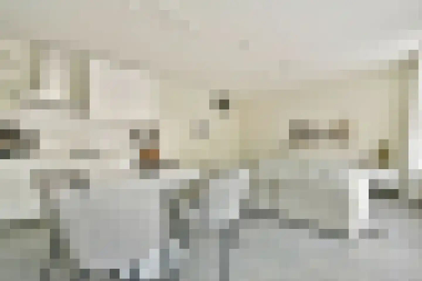Ambonstraat 24 Amsterdam thumbnail 7