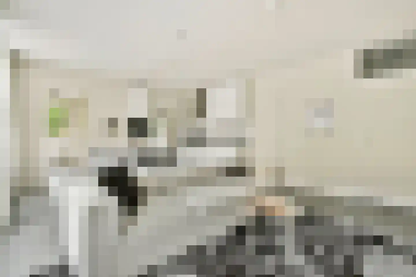 Ambonstraat 24 Amsterdam thumbnail 8