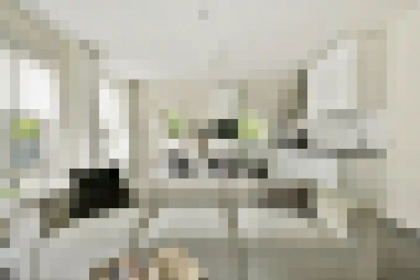 Ambonstraat 24 Amsterdam thumbnail 9